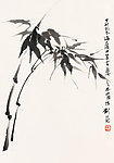 竹子