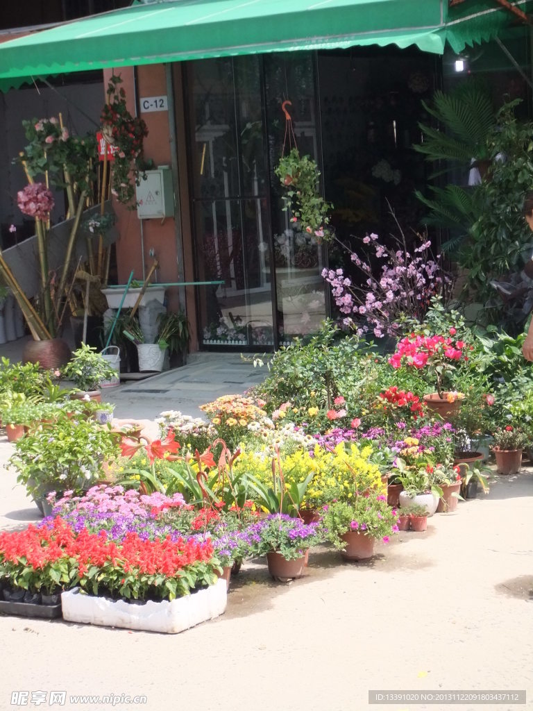 花草