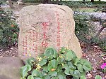黛玉传