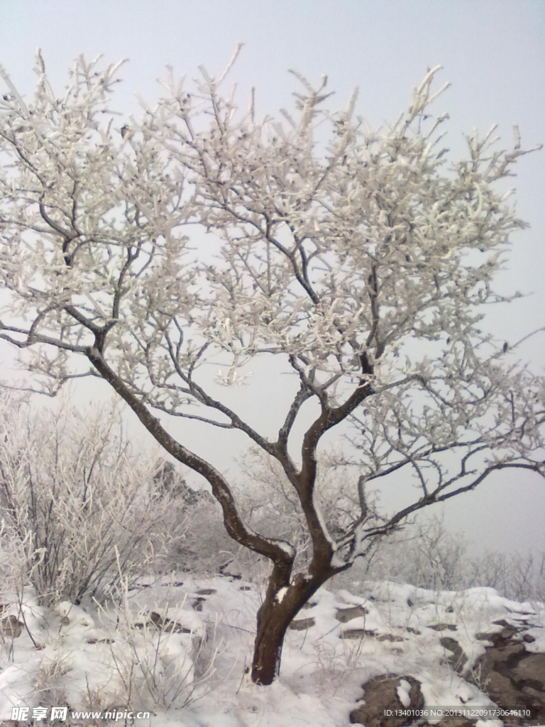 雪景