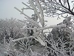 雪景