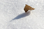雪景