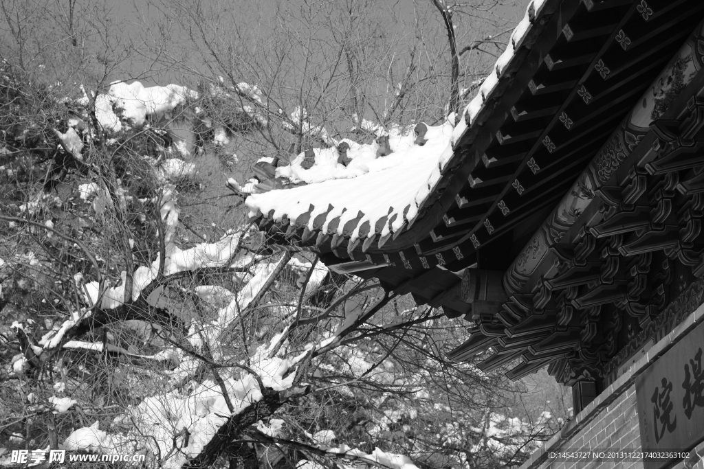 檐雪