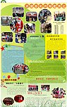 幼儿园报