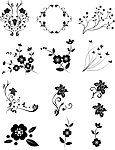 花纹