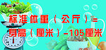 标准体重桌牌
