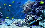 海底世界