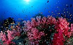 海底世界