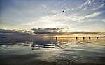 大海