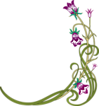 边角框 花纹
