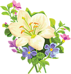花纹花卉