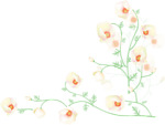 花纹边角