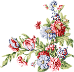 手绘花纹