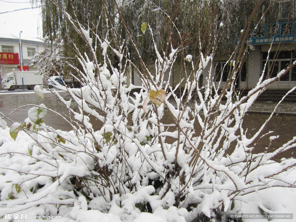 雪景