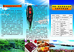 旅游三折页