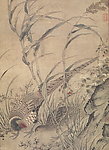 花草野禽