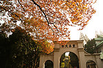 苏州大学