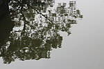 水中倒影