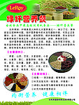 乐利来 绿纤营养餐