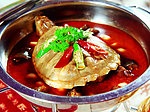 红煨鳄龟