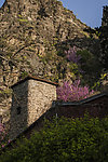 山脚下 院落