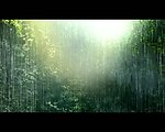 下雨视频素材