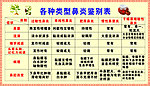 各种类型鼻炎鉴别表
