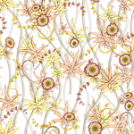 花朵 花草 印花