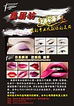 眉毛 美化 秀美