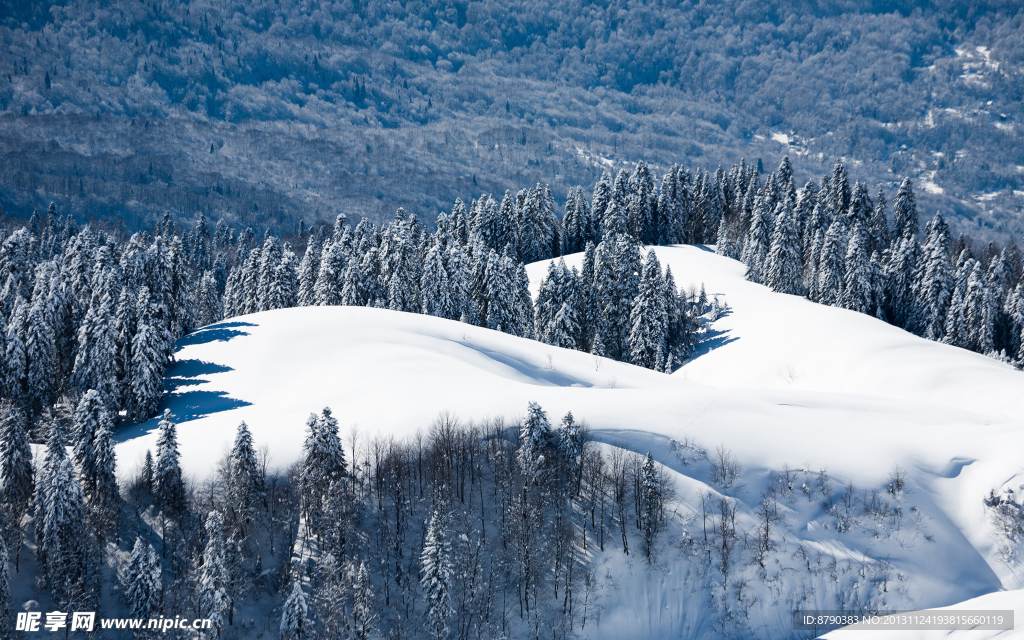 雪景