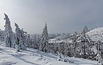 雪景