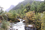 流水风景