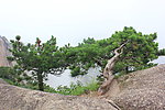 黄山