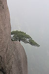 黄山