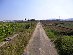 乡村小路