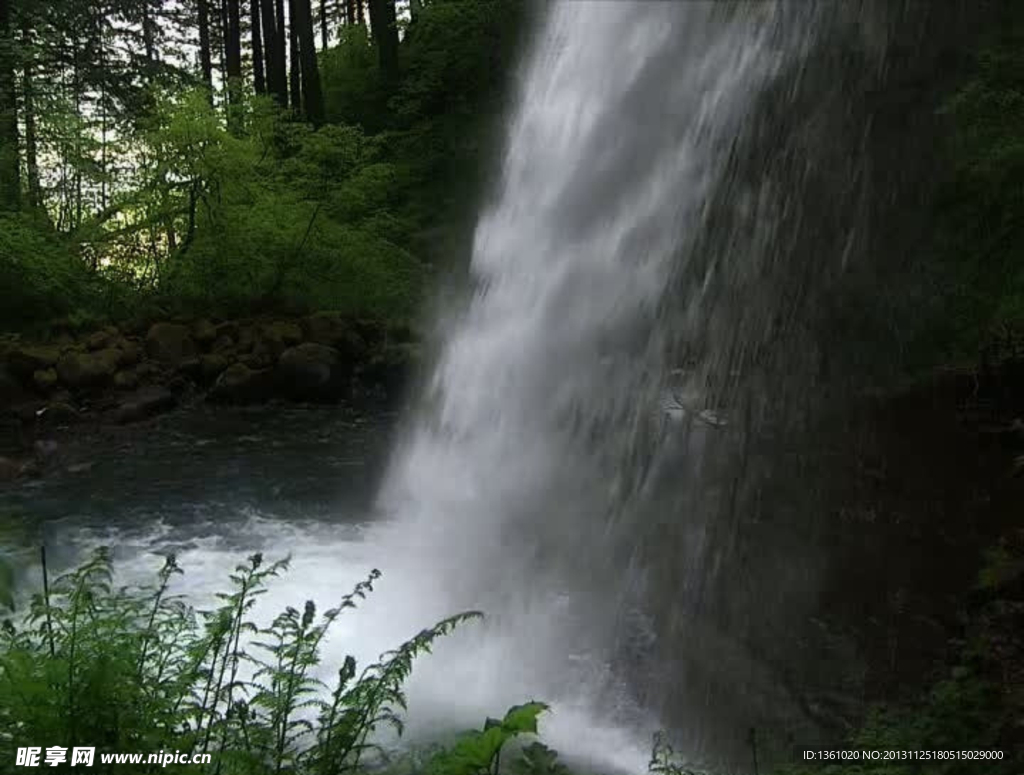 水流水草视频素材