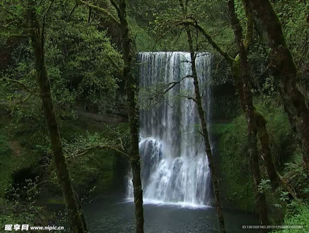 水流水草视频素材