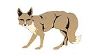 狐狸矢量图