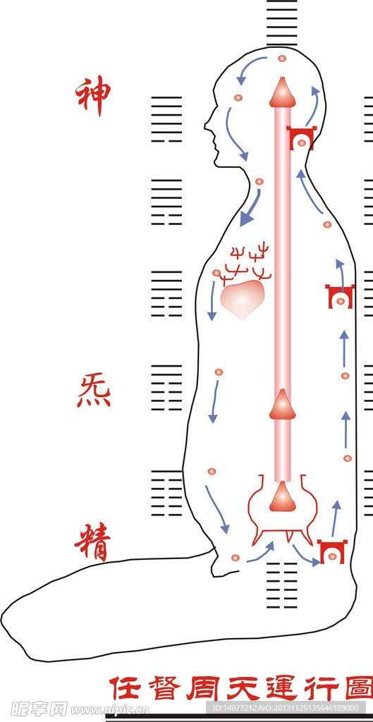 任督周天运行图