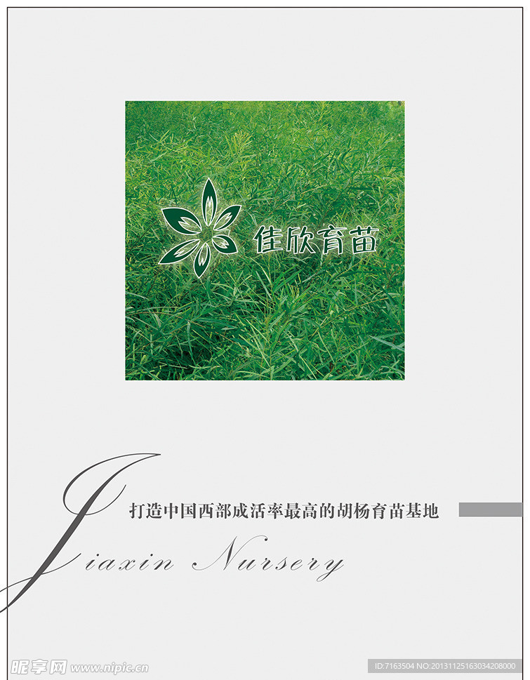 画册设计