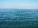 青岛海