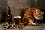 小猫