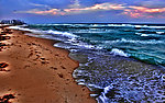 大海海