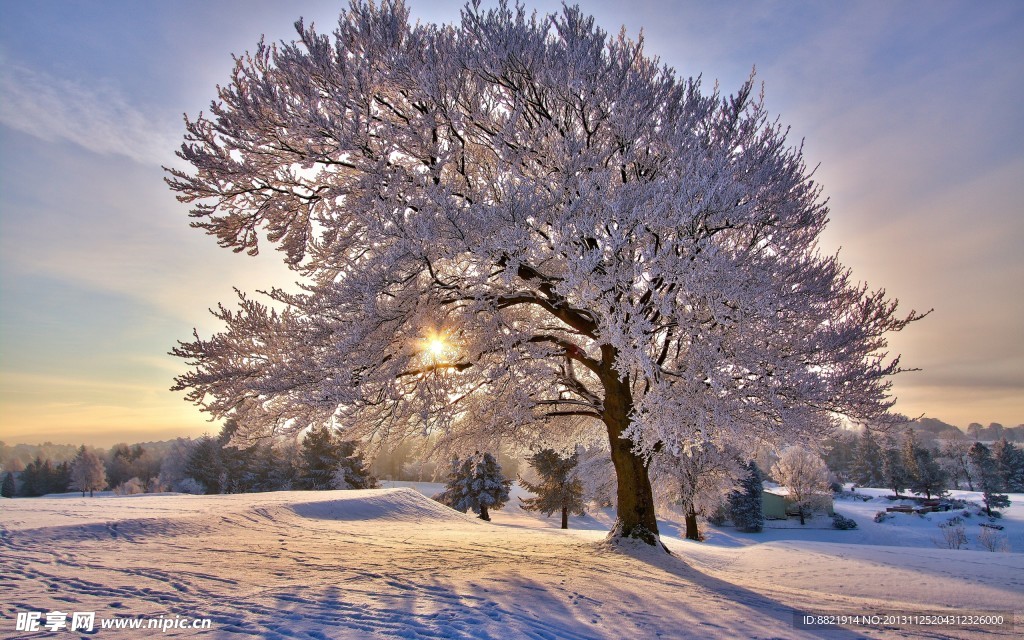 雪景