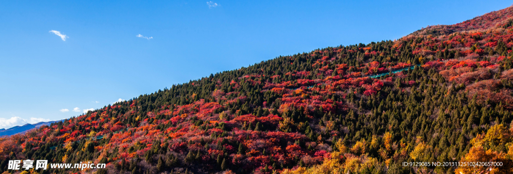 红螺寺北京 山林 秋天风景