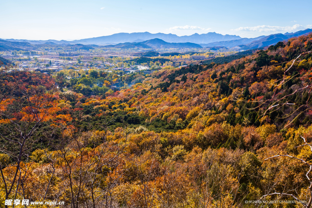 红螺寺北京 山林 秋天风景