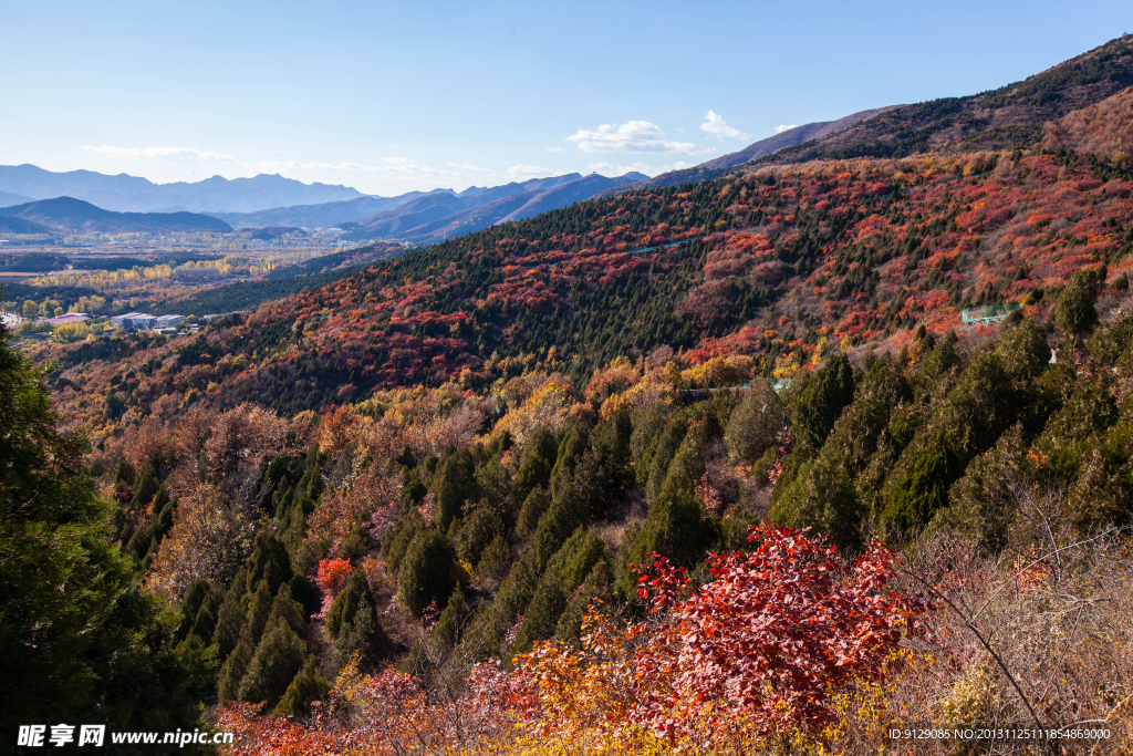 红螺寺北京 山林 秋天风景