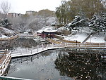 小湖雪景