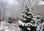 小院雪景