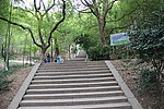 上山的路